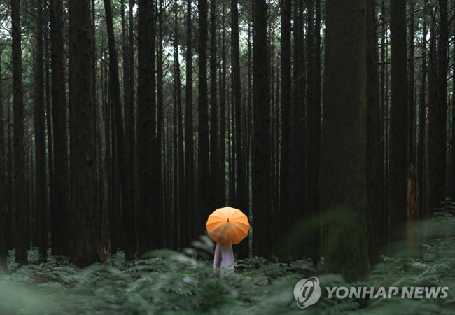 머체왓숲길