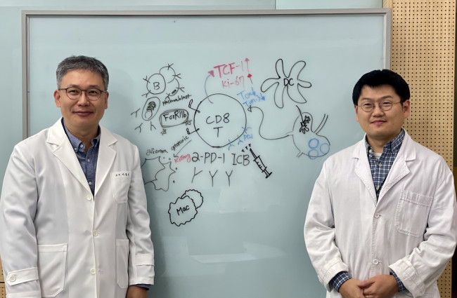 난치성 뇌종양 치료 가능성 제시한 KAIST·화학연 연구팀