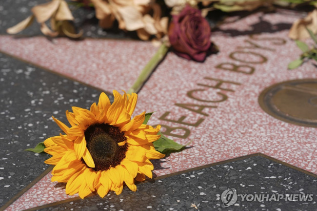 헐리우드 거리 비치보이스의 이름 위에 놓인 추모 꽃 